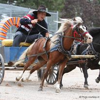 chuck wagon