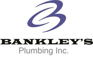 BANKLEYLOGO Inc 2011 (2)